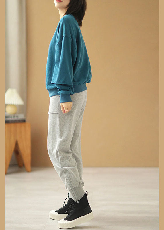 Elegant Blue Loose Owck Print Fall Sweatshirts Sweats Sweats